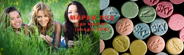 PSILOCYBIN Балахна