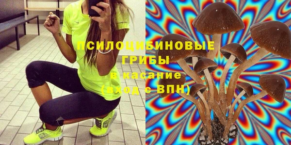 эйфоретик Баксан