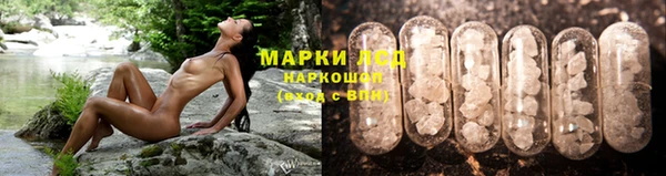 apvp Армянск